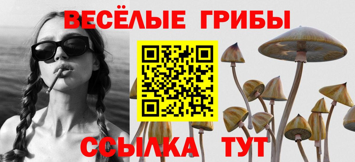 Псилоцибиновые грибы Cubensis  Вход с VPN  Псилоцибиновые грибы мицелий  магазин продажи   Вязники 